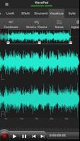 Poster WavePad Professionale