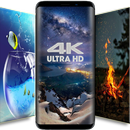 HD Wallpapers - 4K & HD Backgrounds-APK