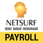 Netsurf Payroll icône