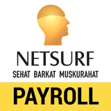 Netsurf Payroll Zeichen
