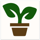 Plantssouq aplikacja
