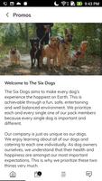 THE SIX DOGS تصوير الشاشة 2