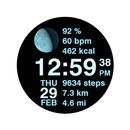 Fixed Watch Face APK