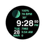 Swiss Watch Face