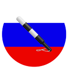 ПДД Россия  2016 icône