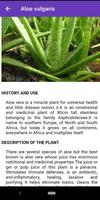 النباتات الطبية: علاج طبيعي تصوير الشاشة 2