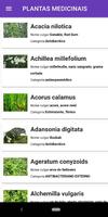 Plantas medicinais: remédio natural imagem de tela 1
