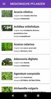 Heilpflanzen : natürliches Heilmittel Screenshot 1