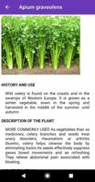 Medicinal plants : natural treatment remedy syot layar 2