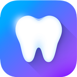 i-DENTify: Dental Anatomy