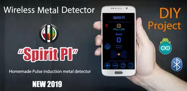 Metal Detector Project
