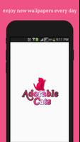 Adorable Cats wallpapers poster