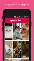Adorable Cats wallpapers screenshot 1