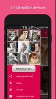 Adorable Cats wallpapers screenshot 2