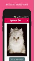 Adorable Cats wallpapers screenshot 3