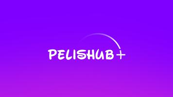 PelisHUB پوسٹر