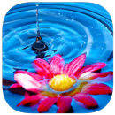 153 Фото Кроссвордов APK