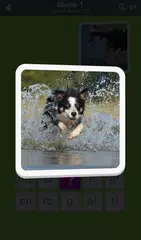 600 Wörter APK Herunterladen