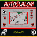 Autoslalom