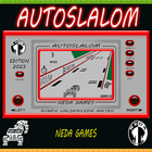 Autoslalom Zeichen