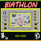 Biathlon ikon