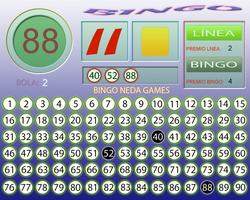 Bingo en Casa スクリーンショット 3