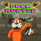 Duck Hunt 圖標