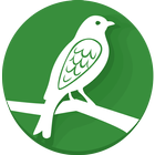 Птахи України icon