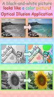 illusion : ColorfulMonotone poster