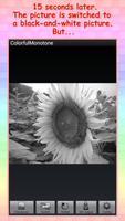illusion : ColorfulMonotone screenshot 2