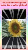 illusion : ColorfulMonotone screenshot 3