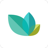 Medcursor icon