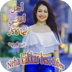 ”Neha Kakkar - Best Hits - Without Internet