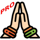Prayer Counter (Pro) APK