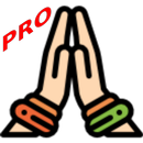 APK Prayer Counter (Pro)