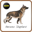 German Shepherd Wallpapers APK
