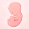 My Pregnancy - Baby Tracker APK