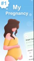 My Pregnancy poster