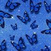 ”Butterfly Wallpaper