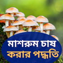 মাশরুম চাষ করার পদ্ধতি APK