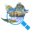 Photo & Video Tweet Explorer