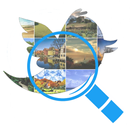 Foto und Video Tweet Explorer APK