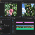Adobe Premiere Pro Course