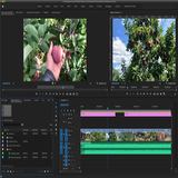 Premiere Pro Course