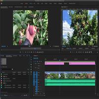 Premiere Pro Course poster