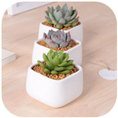 Flower Vase Design APK