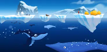 Soa et les mammifères marins