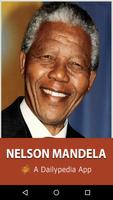 Nelson Mandela Daily Affiche