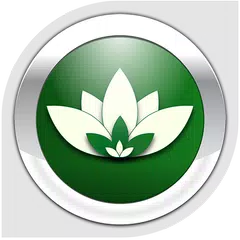 Nemo Vietnamese XAPK download