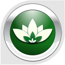 Nemo Vietnamita APK